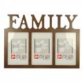 msw1003familzbr.JPG